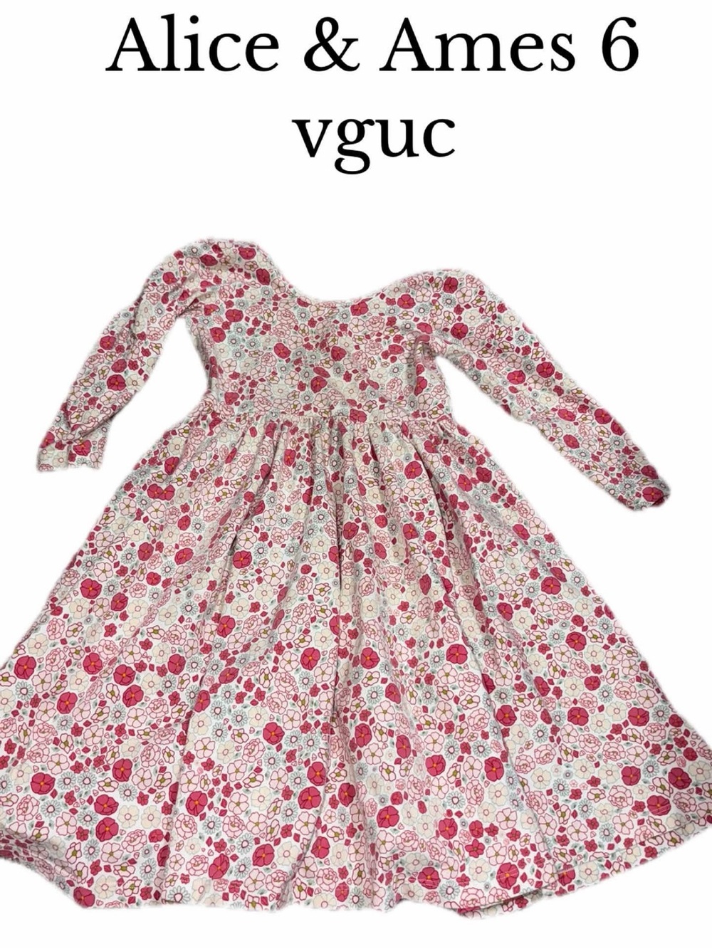 Alice and Ames size 6 dress
